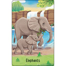 Zoo Snap Usbourne - Jedko Games