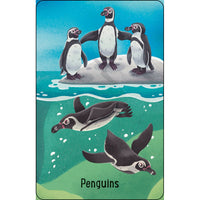 Zoo Snap Usbourne - Jedko Games