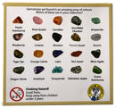 Gemstone Collection Box - Science & Nature