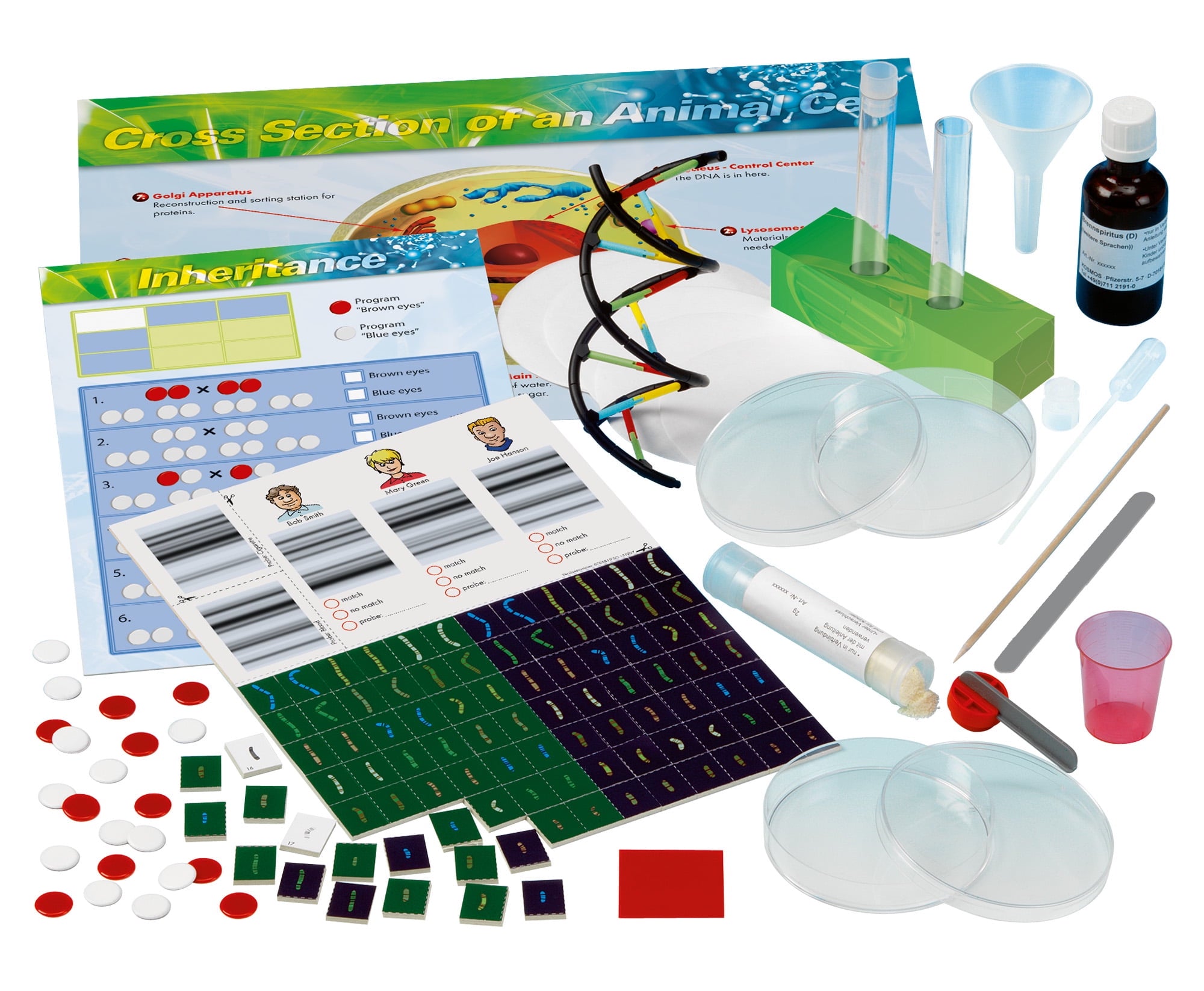 Genetics & DNA Science Kit Thames & Kosmos - Science & Nature