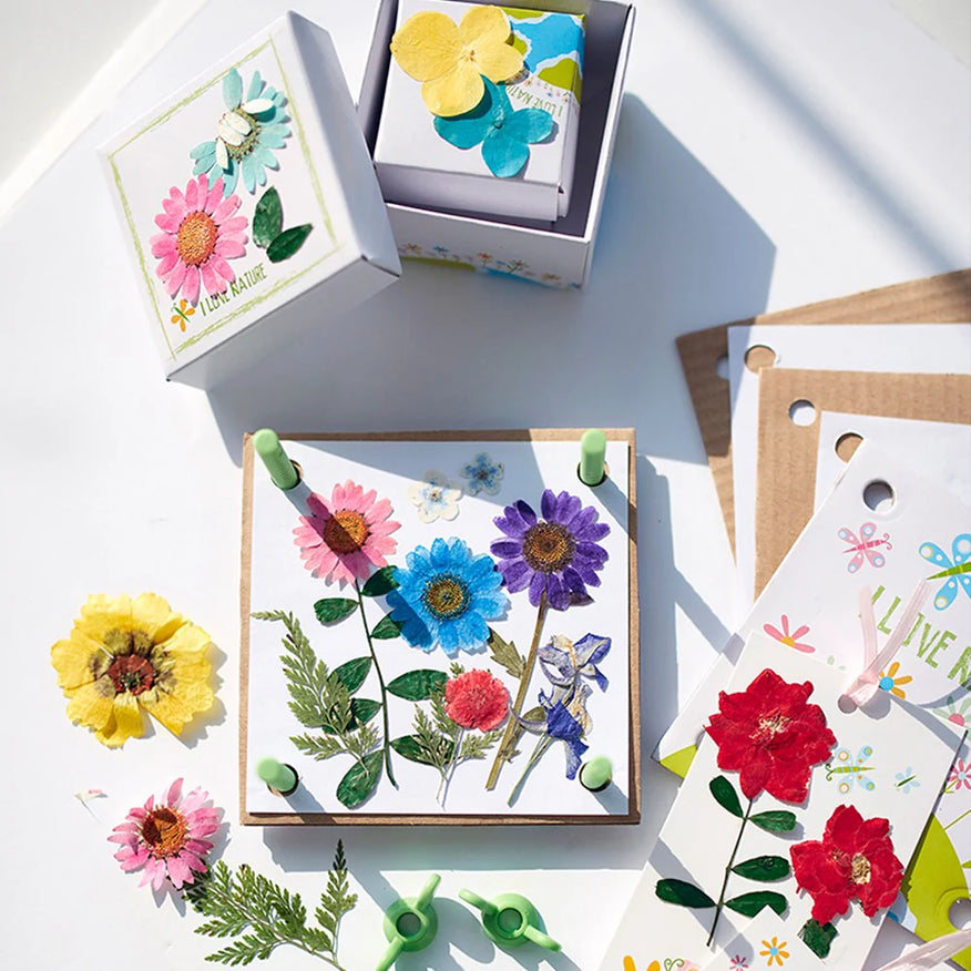 Pressed Flower Art 4M - Johnco
