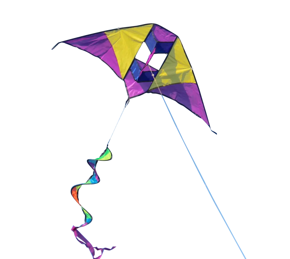 Single Line Vibrant 3D Electric Style Kite - High as a Kite