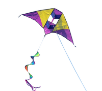 Single Line Vibrant 3D Electric Style Kite - High as a Kite