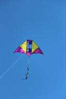 Single Line Kite Electric - High as a Kite