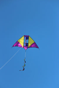 Single Line Kite Electric - High as a Kite