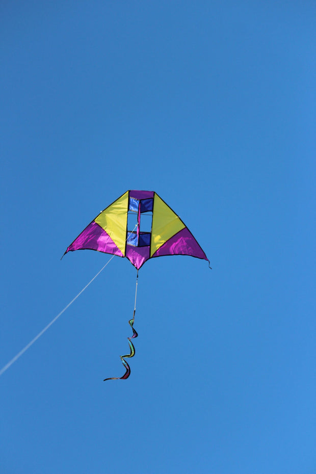 Single Line Kite Electric - High as a Kite