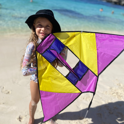 Single Line Vibrant 3D Electric Style Kite - High as a Kite