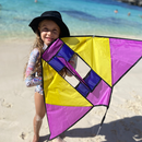 Single Line Vibrant 3D Electric Style Kite - High as a Kite