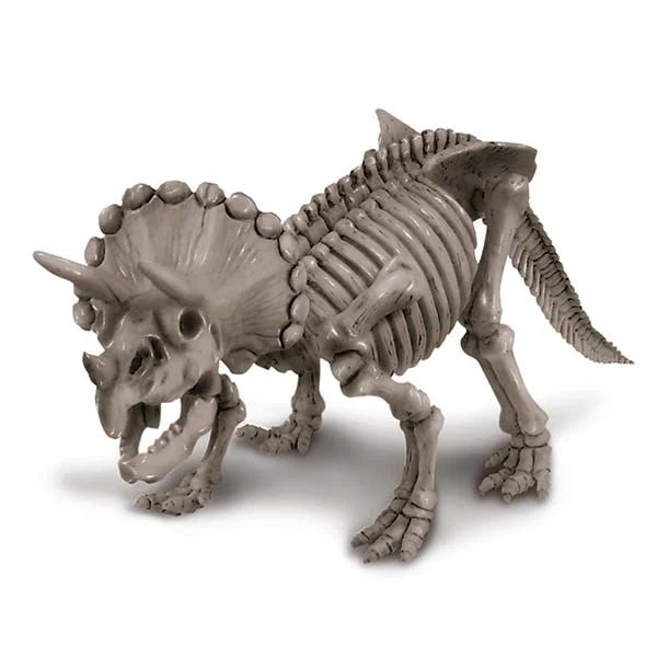 Dig A Dinosaur Triceratops - Johnco