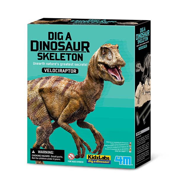 Dig A Dinosaur Velociraptor 4M - Johnco