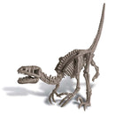 Dig A Dinosaur Velociraptor 4M - Johnco