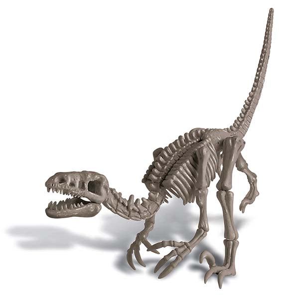 Dig A Dinosaur Velociraptor 4M - Johnco