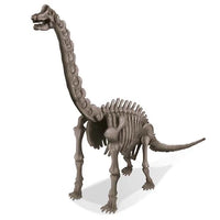 Dig a Dinosaur Brachiosaurus - Johnco