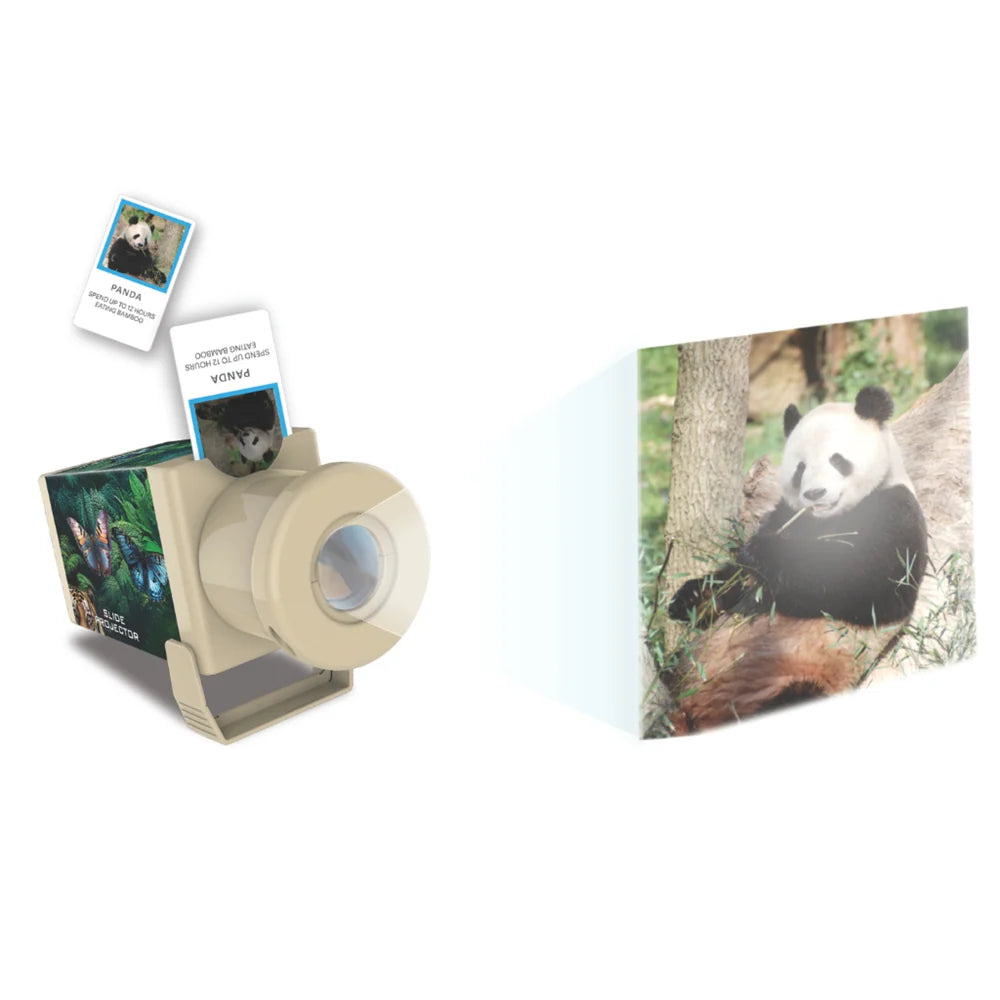 Kidzlabs Slide Projector Wildlife Animals - Johnco