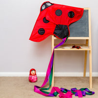 Single Line Ladybird Kite - High as a Kite