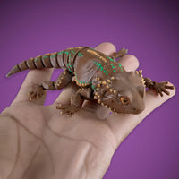 Fidgi Bearded Dragon - Heebie Jeebies