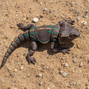 Fidgi Bearded Dragon - Heebie Jeebies