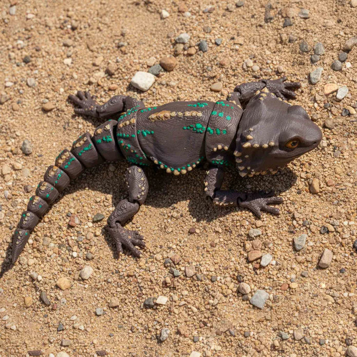 Fidgi Bearded Dragon - Heebie Jeebies