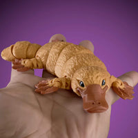 Fidgi Platypus - Heebie Jeebies