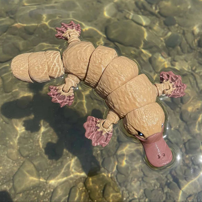 Fidgi Platypus - Heebie Jeebies