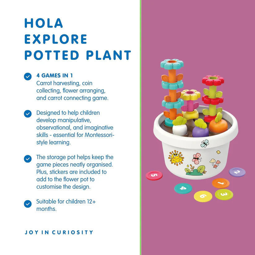 Explore Potted Plant - Hola