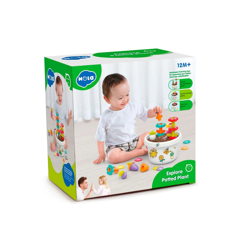 Explore Potted Plant - Hola