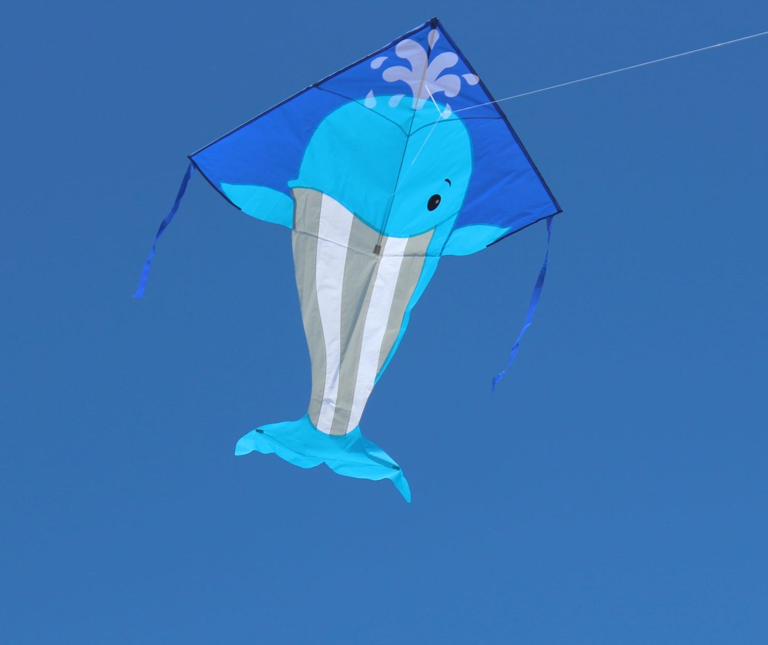 Single line Kite Whale - High as a Kite