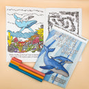 Humpback Whale Activity Book - Sunshine Art