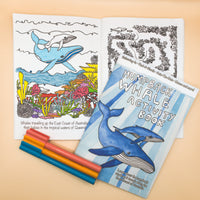 Humpback Whale Activity Book - Sunshine Art