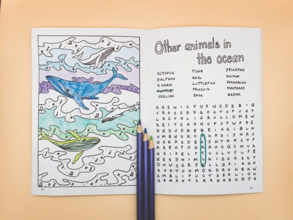 Humpback Whale Activity Book - Sunshine Art