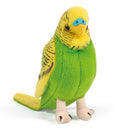 Living Nature Budgie
