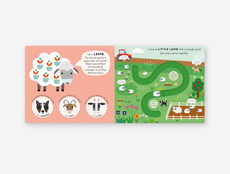 Little Journeys Book Little Duck - Really Decent Books