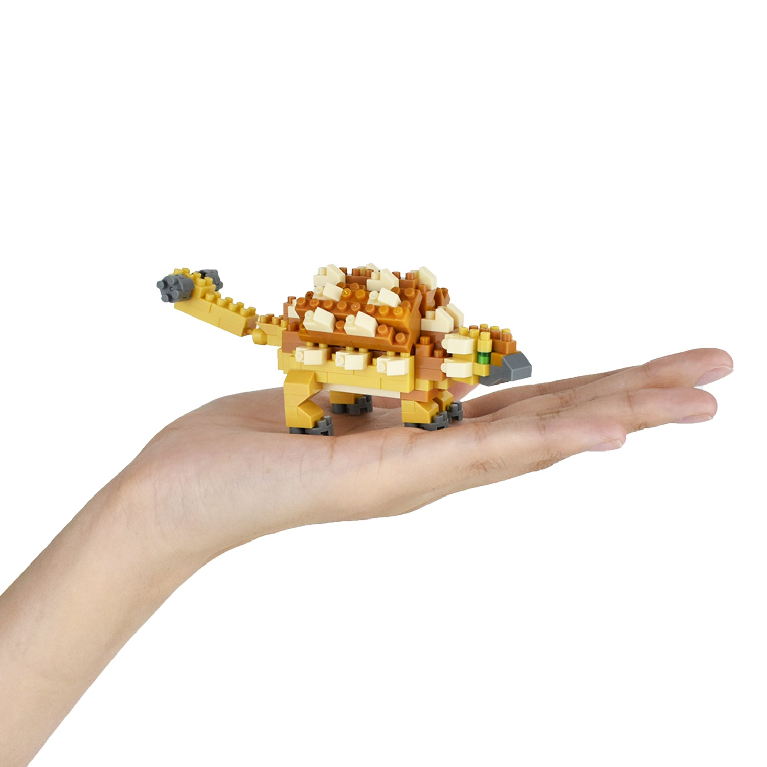 Ankylosaurus Nanoblock - Kawada