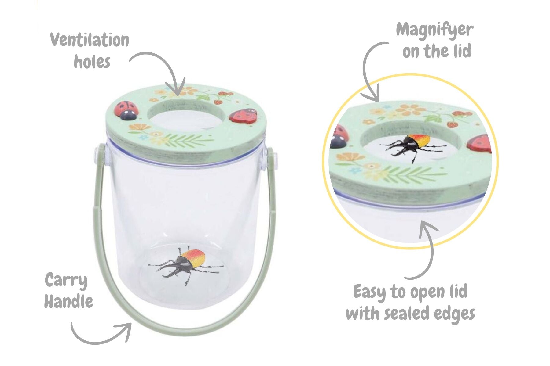Magnifying Bug Jar w/ handle - Eleganter