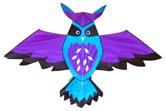 Single Line Owl Kite