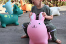 Bouncy Rider Triceratops