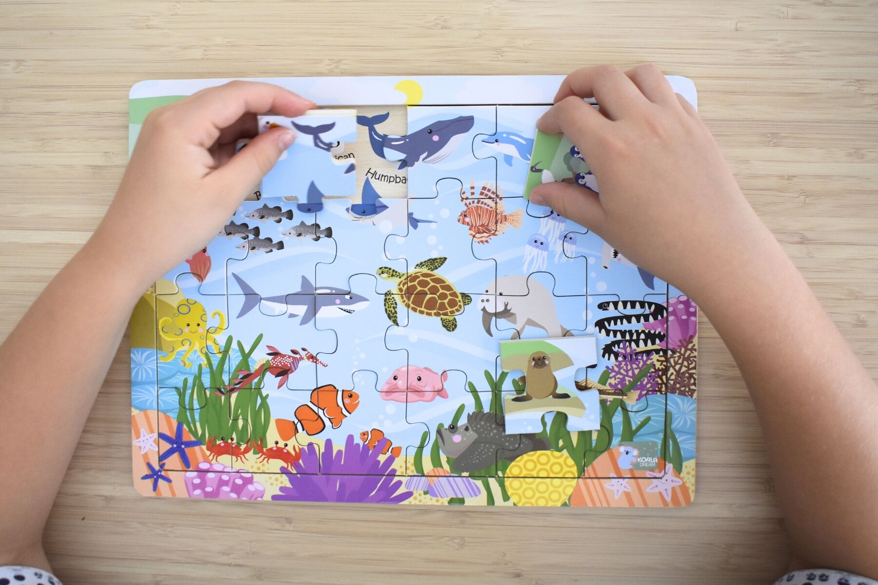 Koala Dream 24pc Aussie Sea Animals w/ Names Puzzle - Eleganter