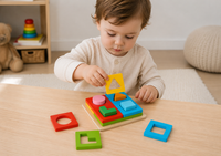Multi Shape Sorter Tooky Toy - Eleganter