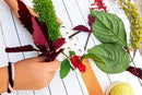 Nature Weaving Shapes Create w/ Flowers & Leaves - Eleganter