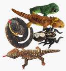 Belta Finger Puppet – Australian Animal