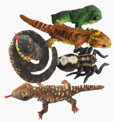 Belta Finger Puppet – Australian Animal