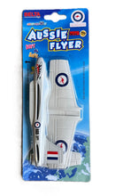 Little Wings Glider Plane - Belta Air